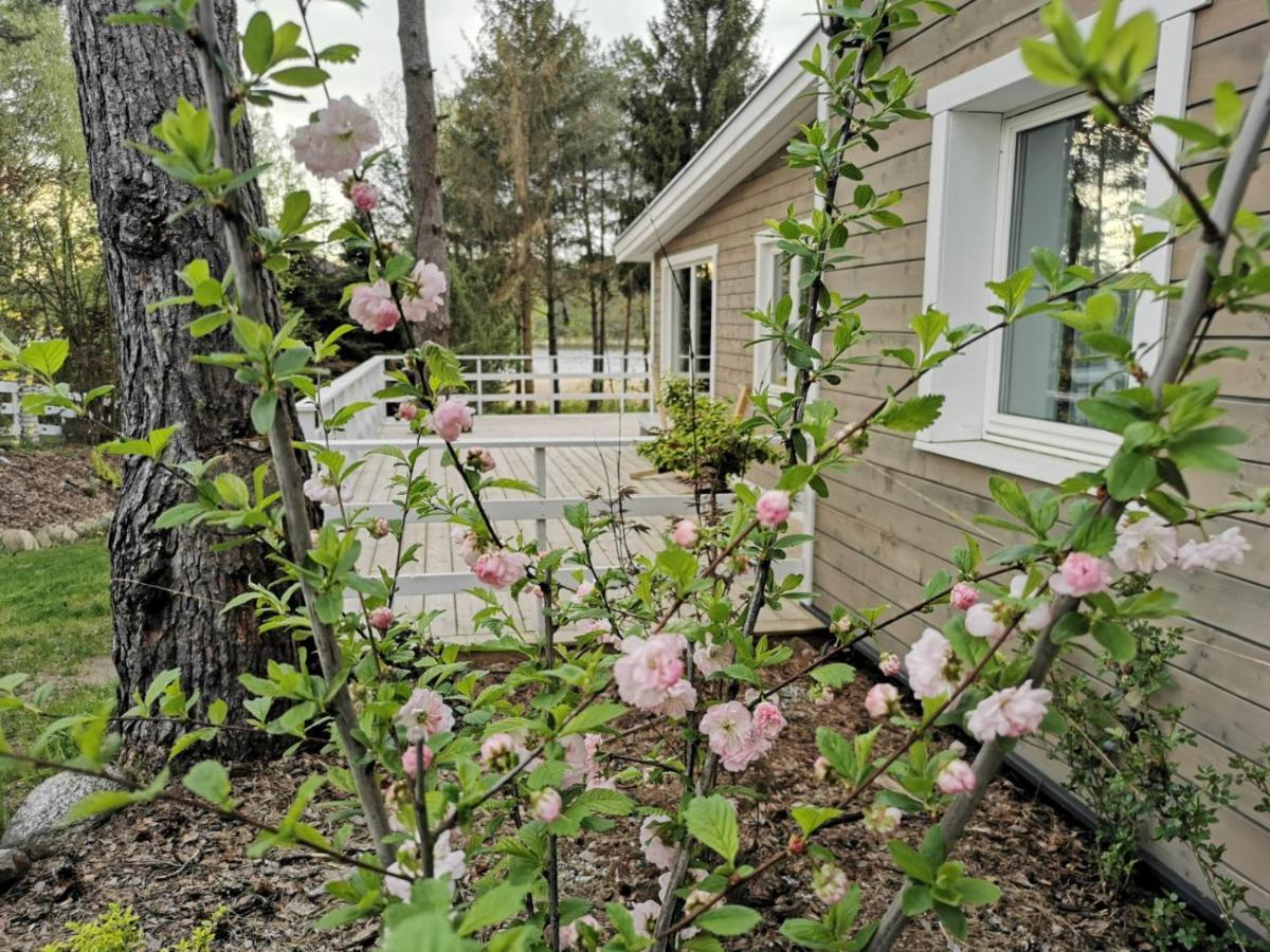 Sosnowy Azyl Villa Waglikowice Ngoại thất bức ảnh