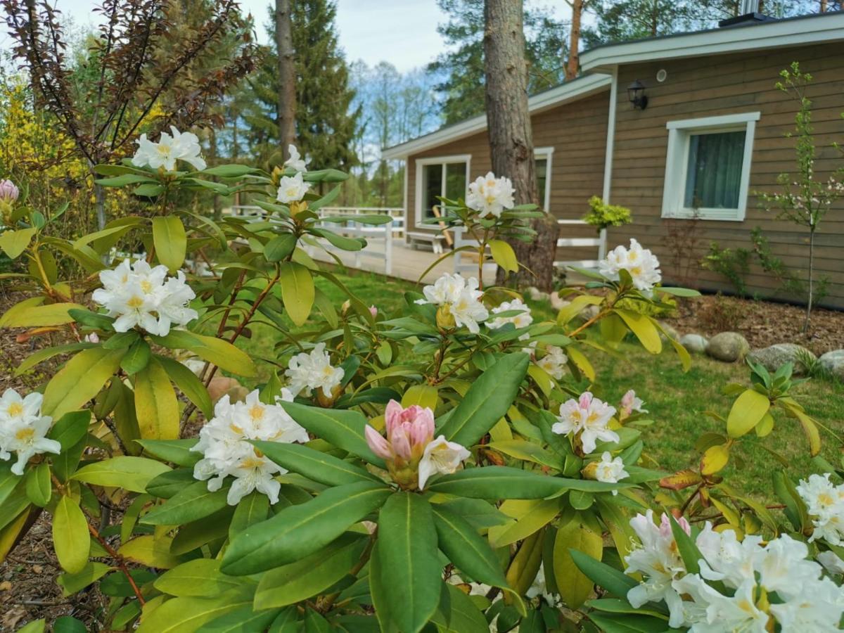 Sosnowy Azyl Villa Waglikowice Ngoại thất bức ảnh