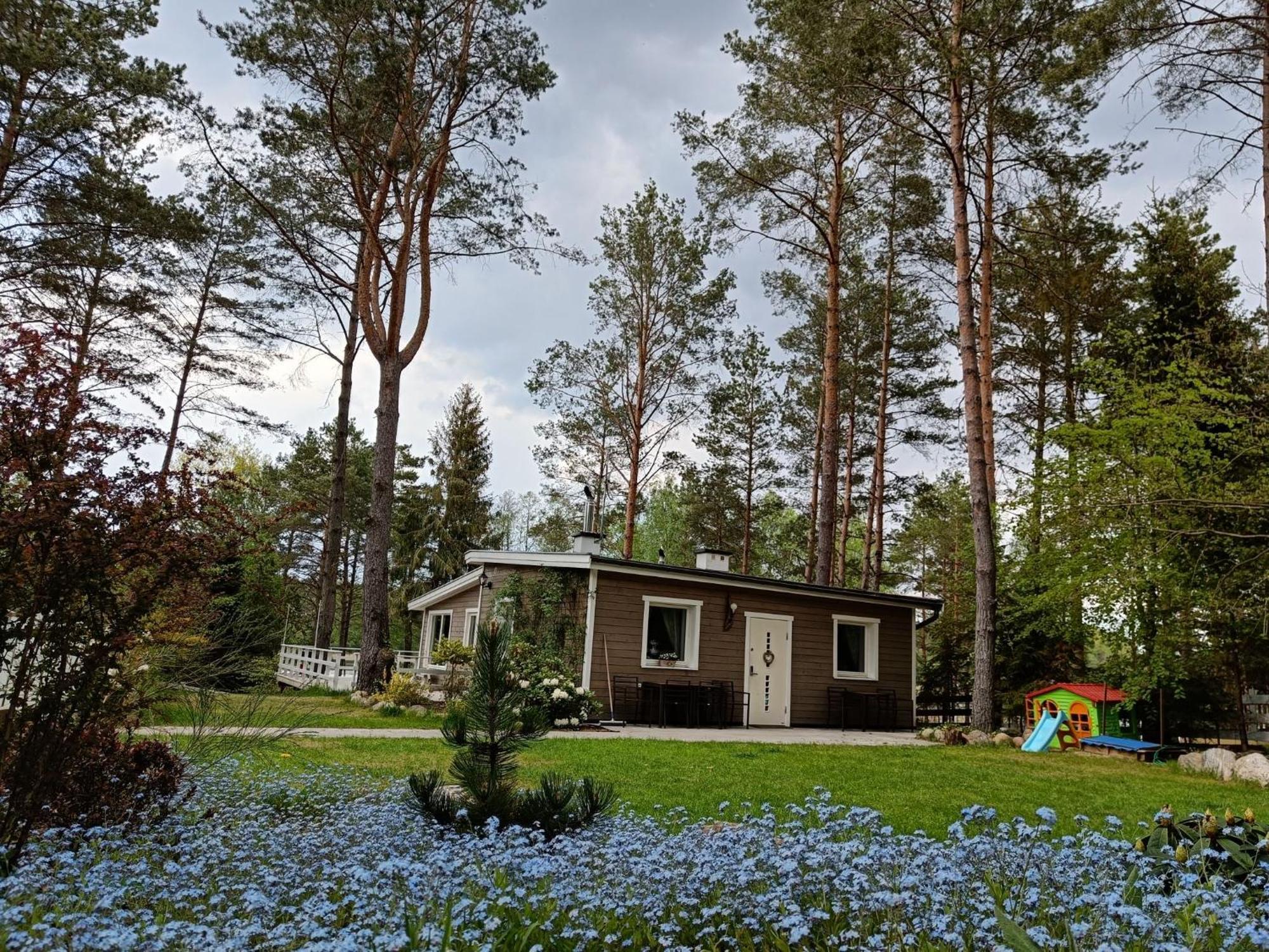 Sosnowy Azyl Villa Waglikowice Ngoại thất bức ảnh