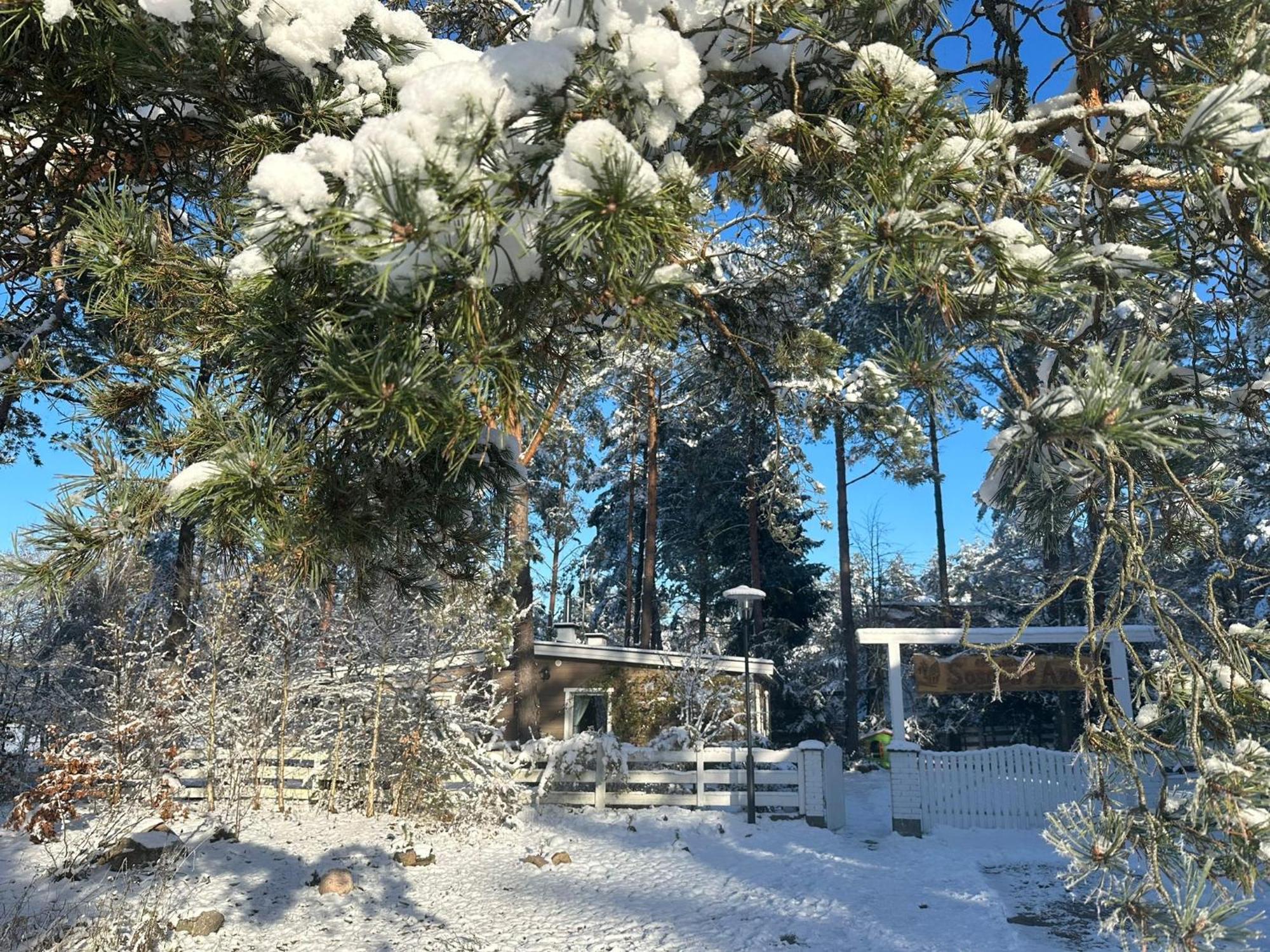 Sosnowy Azyl Villa Waglikowice Ngoại thất bức ảnh
